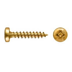 Саморез ШУЖ SWFS PN 5х25 (1000 шт)