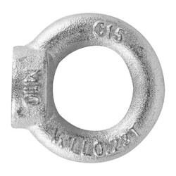 Рым-гайка SWFS DIN582 М10 (250 шт)